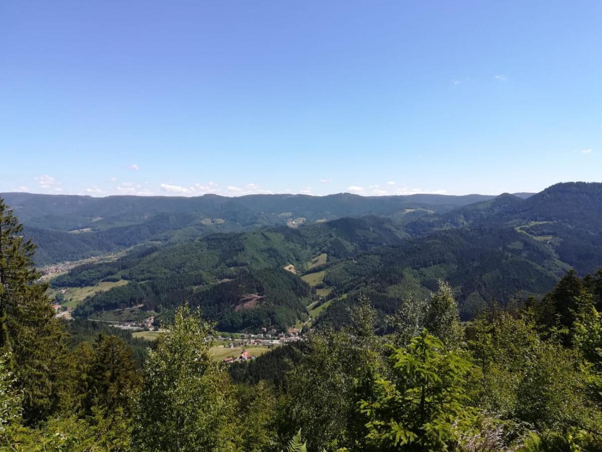 Gaestehaus Gerda バート・ペーターシュタル・グリースバッハ エクステリア 写真